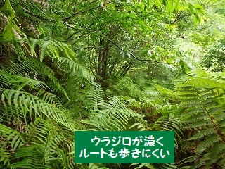 f0193521_21184128.jpg