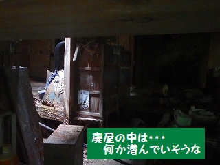 f0193521_2119415.jpg