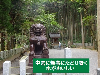 f0193521_21202353.jpg