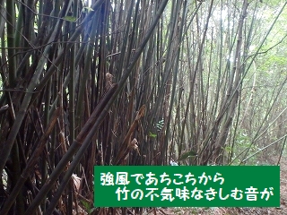f0193521_2120563.jpg