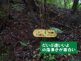 f0193521_212291.jpg