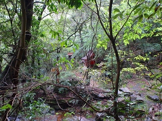 f0193521_212554.jpg