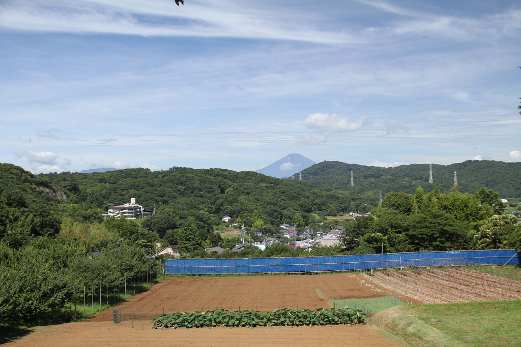 d0240223_10143987.jpg