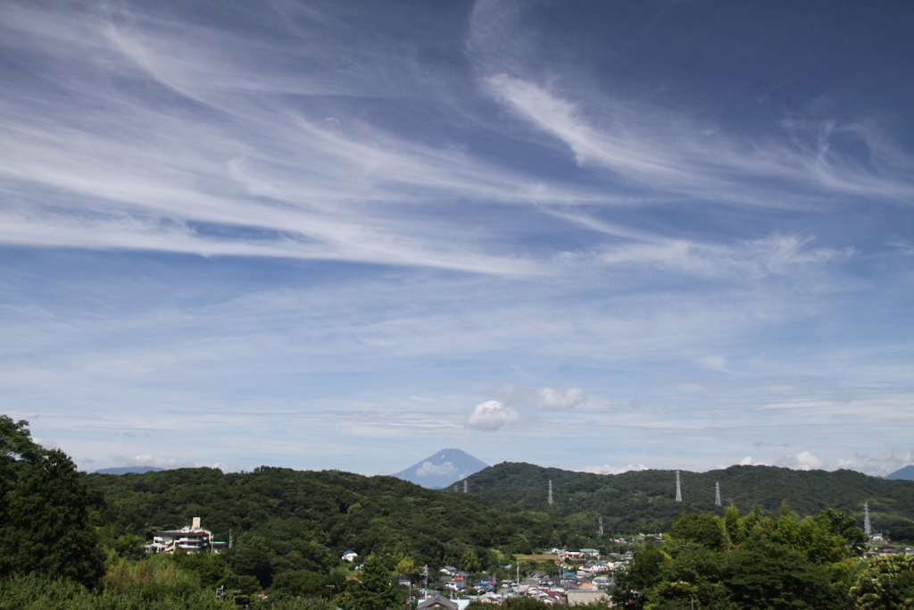 d0240223_10144976.jpg