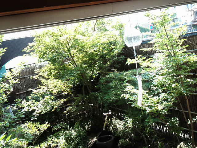 d0008724_11105481.jpg