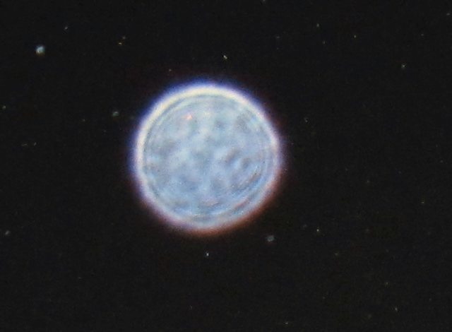 c0331825_14400145.jpg
