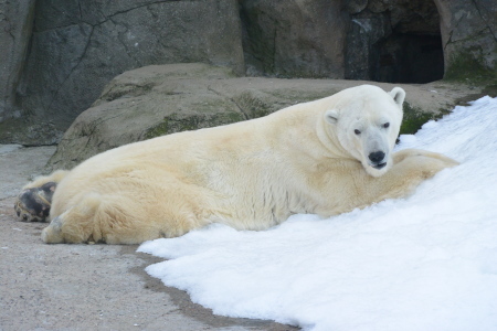 f0344626_01030064.jpg