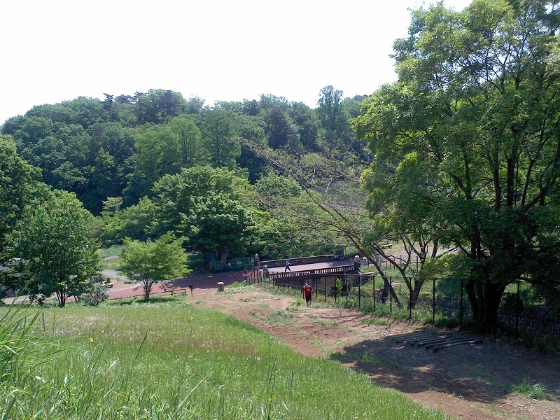 b0166128_8534210.jpg