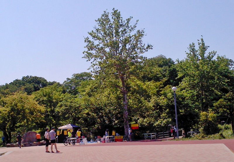 b0166128_8555217.jpg