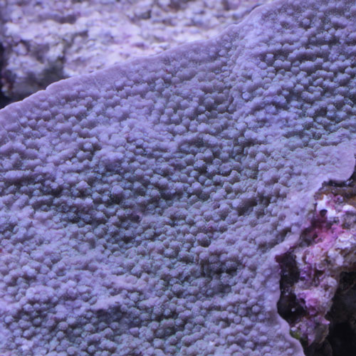 d0221436_15254960.jpg