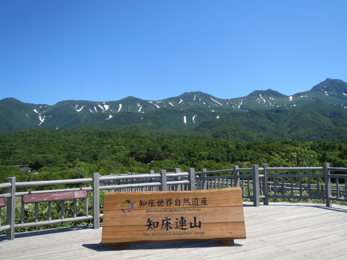 e0259738_6513777.jpg