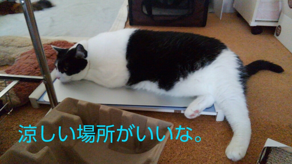 c0181639_00364870.jpg