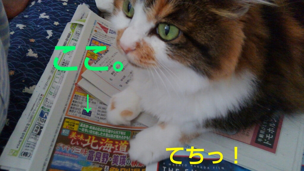 c0181639_00365002.jpg