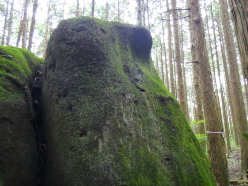 c0179351_2123417.jpg