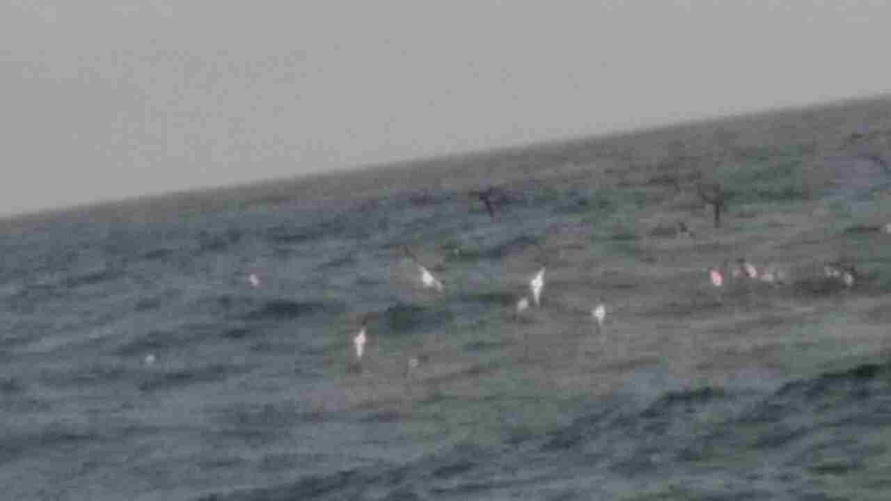 a0248152_1758742.jpg