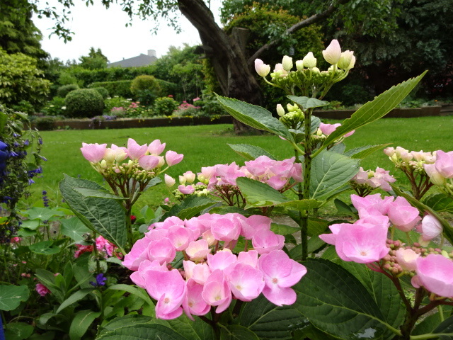 b0109054_18321730.jpg