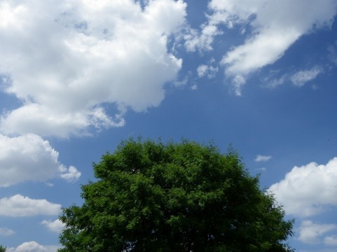 b0178557_22262188.jpg