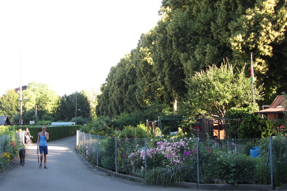 d0179466_1954059.jpg