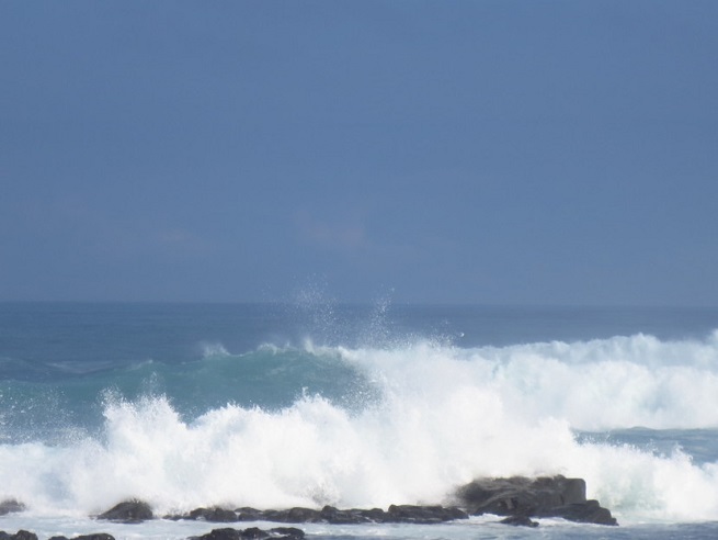 f0096569_831252.jpg