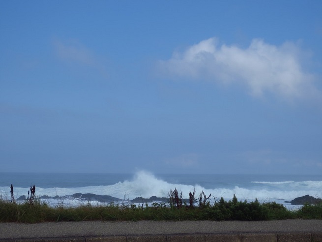 f0096569_832671.jpg
