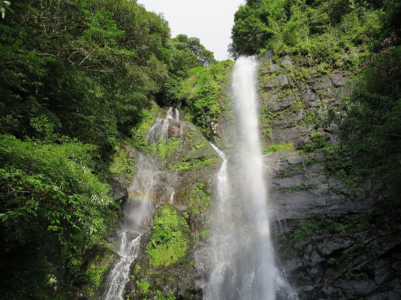 a0016171_1143948.jpg