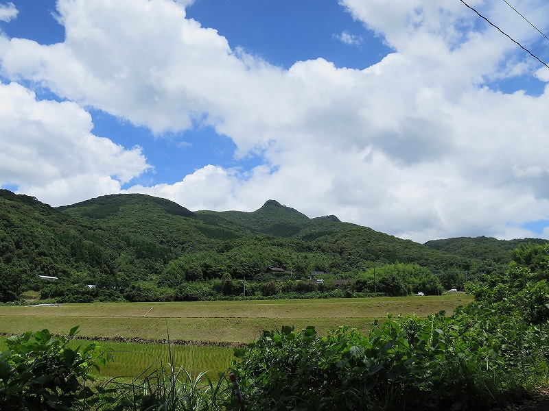 a0016171_11444037.jpg