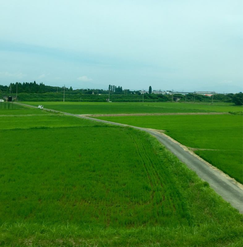 e0062977_7712.jpg