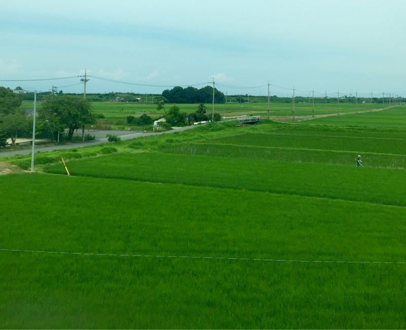 e0062977_77240.jpg