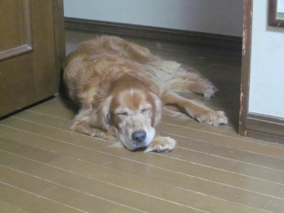 f0005081_14153913.jpg