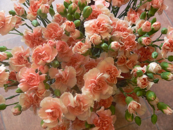e0140986_1663630.jpg