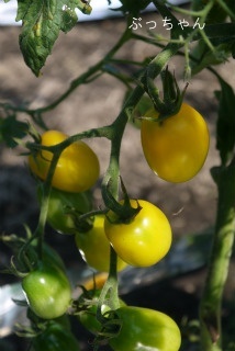 f0353990_14145559.jpg