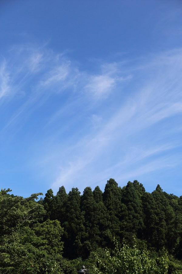 b0275998_1254344.jpg