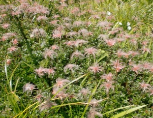c0151898_20372848.jpg