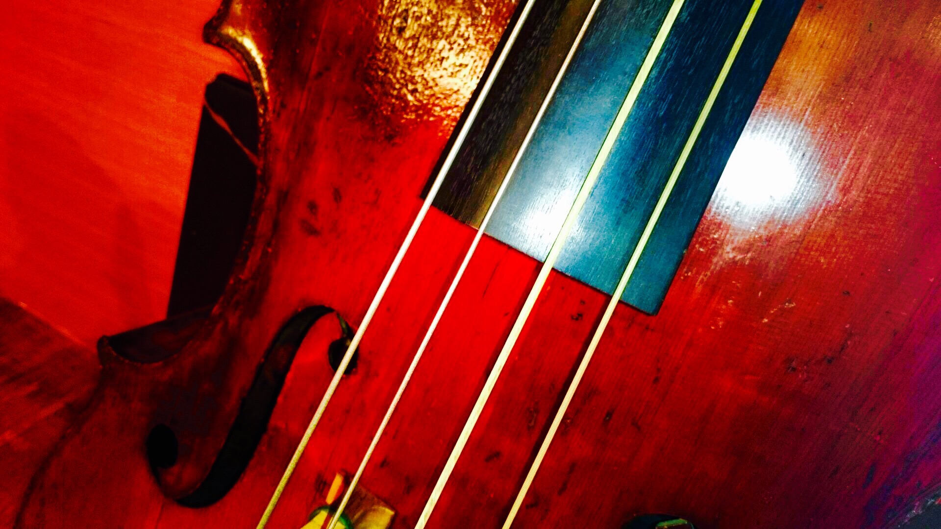c0202101_021168.jpg