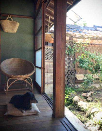 d0077603_1022010.jpg