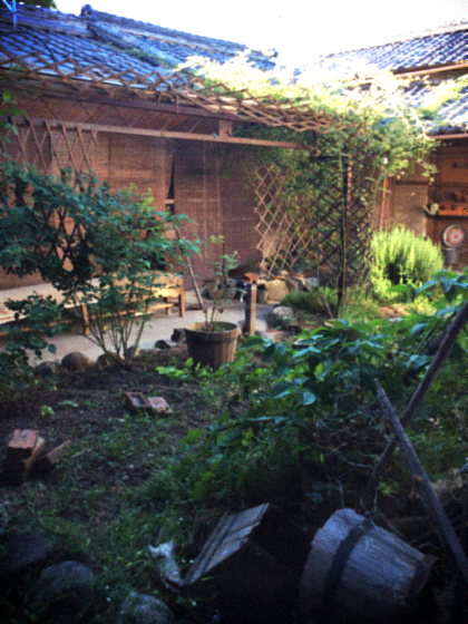 d0077603_912940.jpg