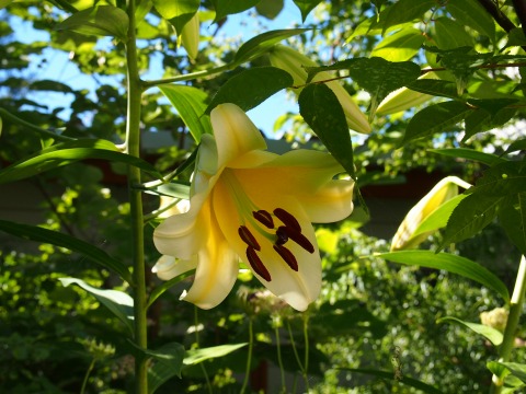 c0117007_95025100.jpg