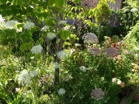c0117007_9553723.jpg