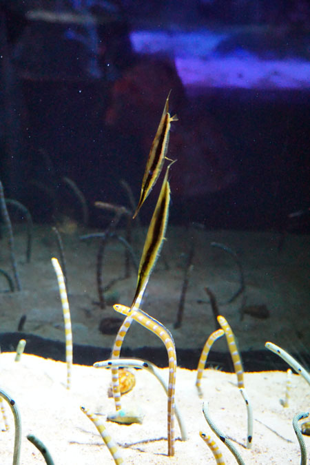 a0263109_10105277.jpg