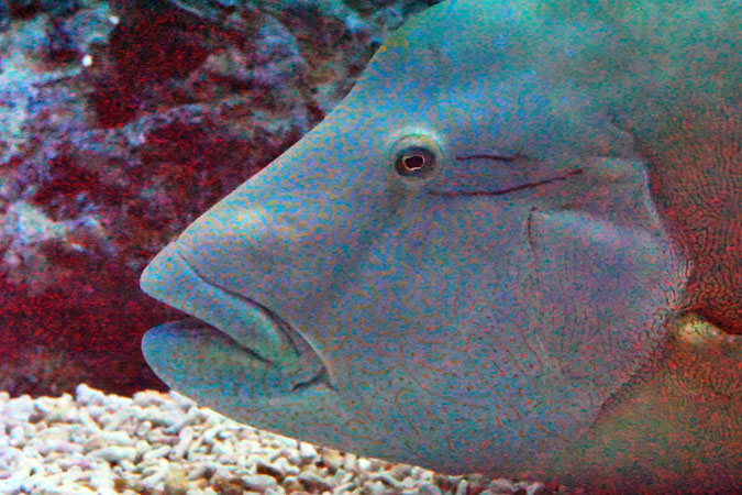 a0263109_10112683.jpg