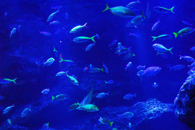 a0263109_10114034.jpg