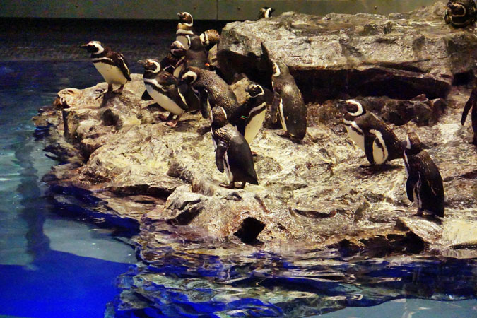 a0263109_10124748.jpg