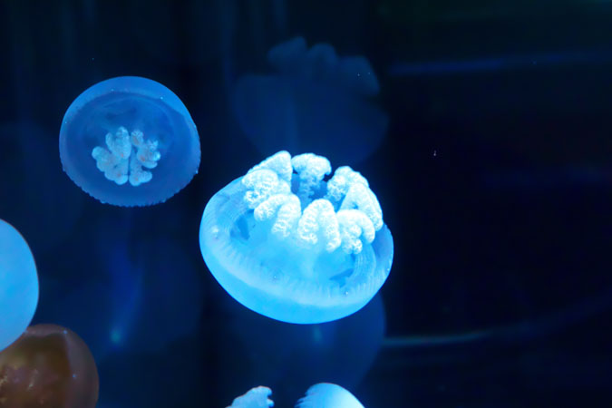 a0263109_1085388.jpg