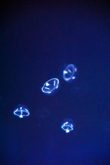 a0263109_10904.jpg