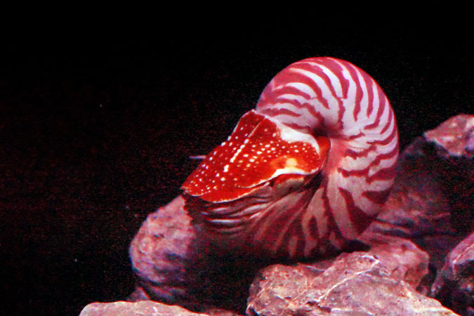 a0263109_109381.jpg