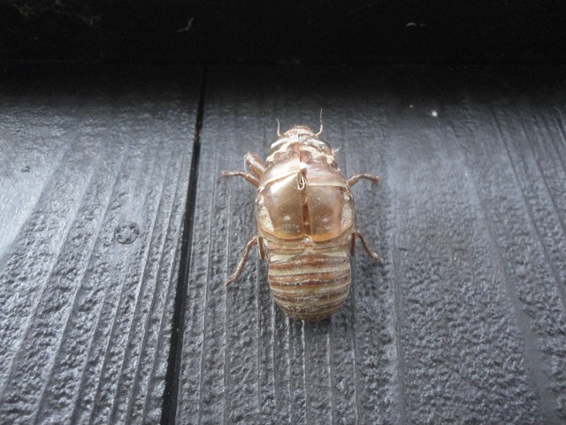 f0231709_1852766.jpg