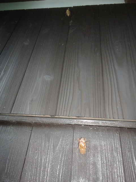 f0231709_18574237.jpg