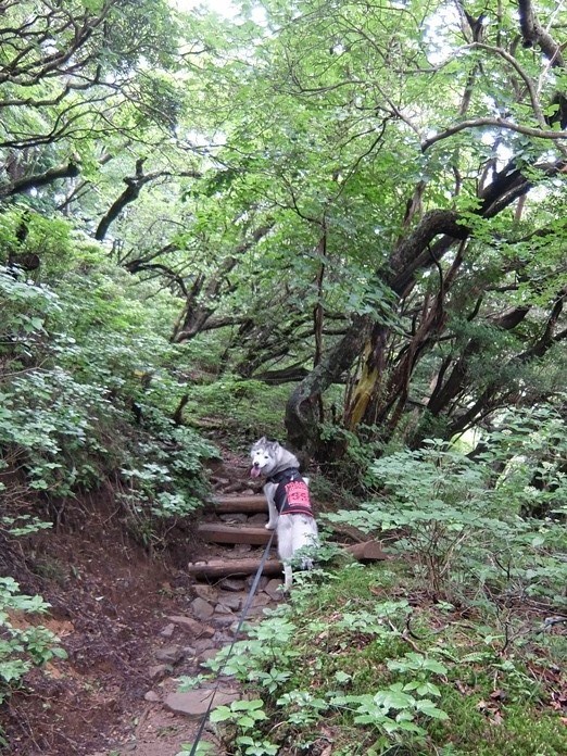 b0207615_22332239.jpg