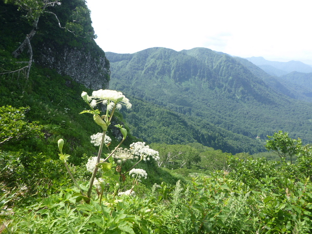 d0170615_11154463.jpg