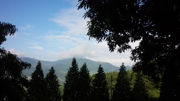 f0031420_904576.jpg